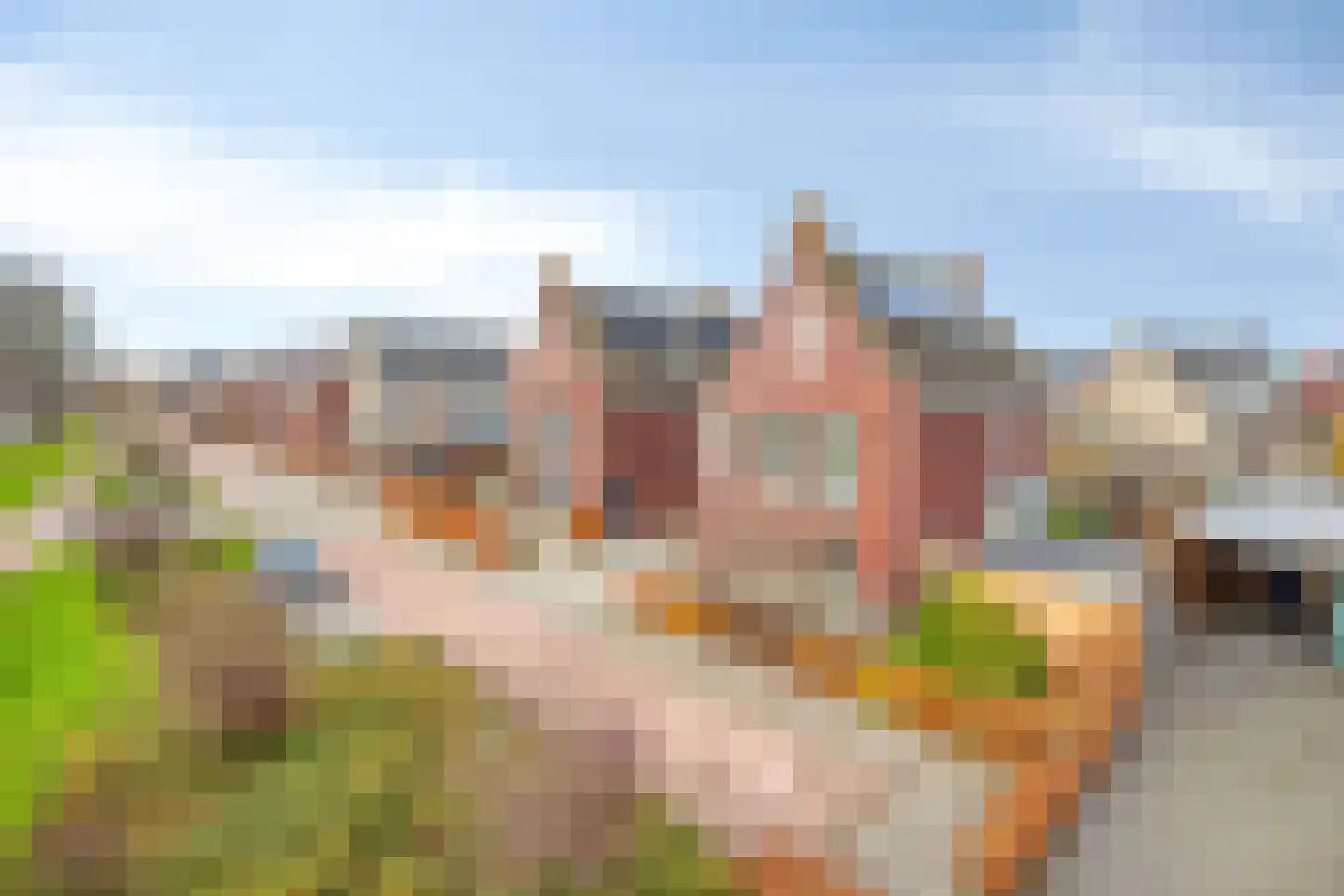 Molenweg 119 Steenbergen thumbnail 52
