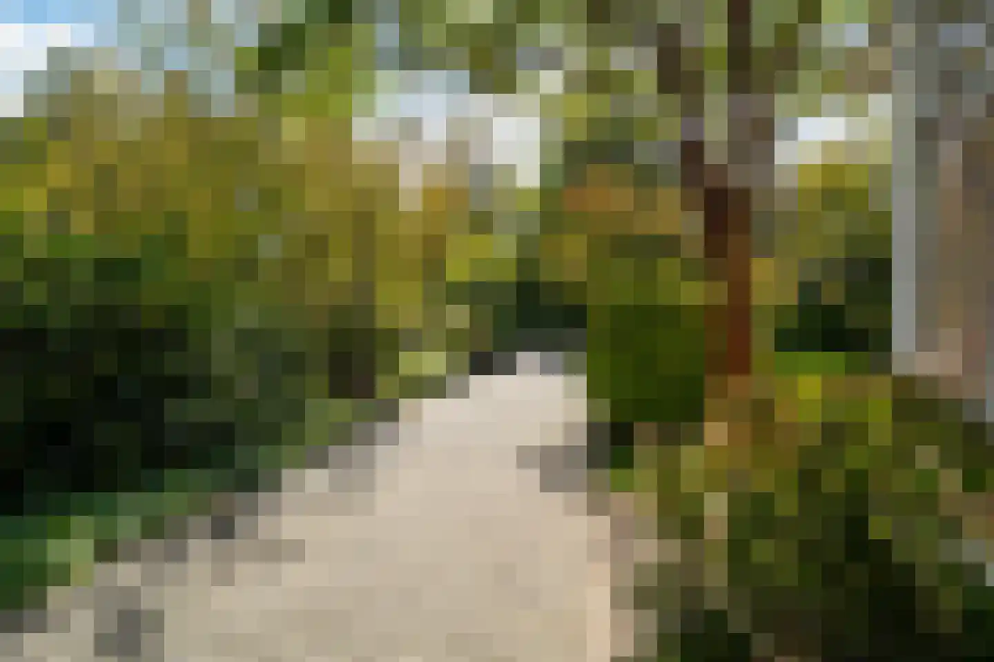 Molenweg 12 b Haren Gn thumbnail 13