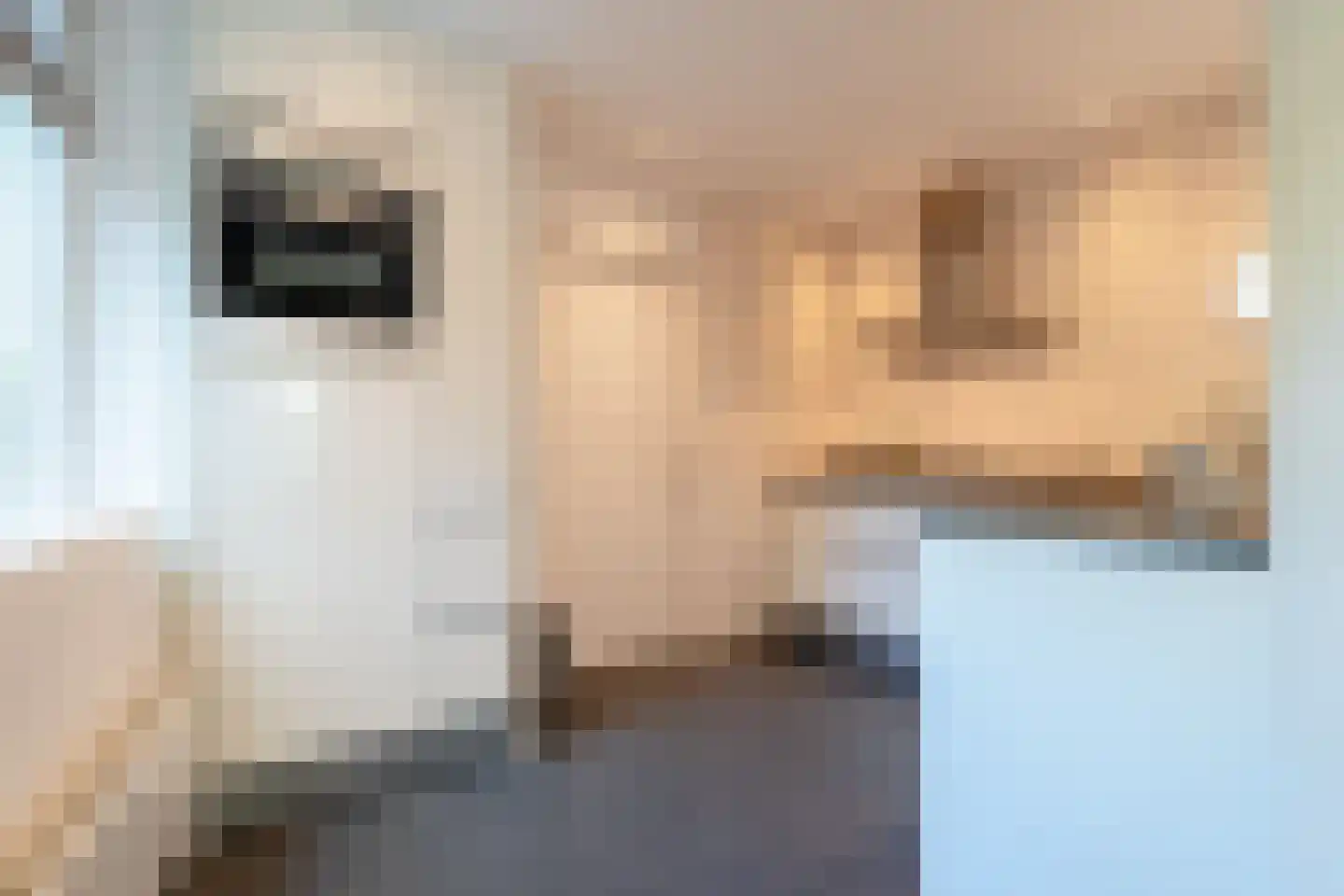 Molenweg 12 b Haren Gn thumbnail 6