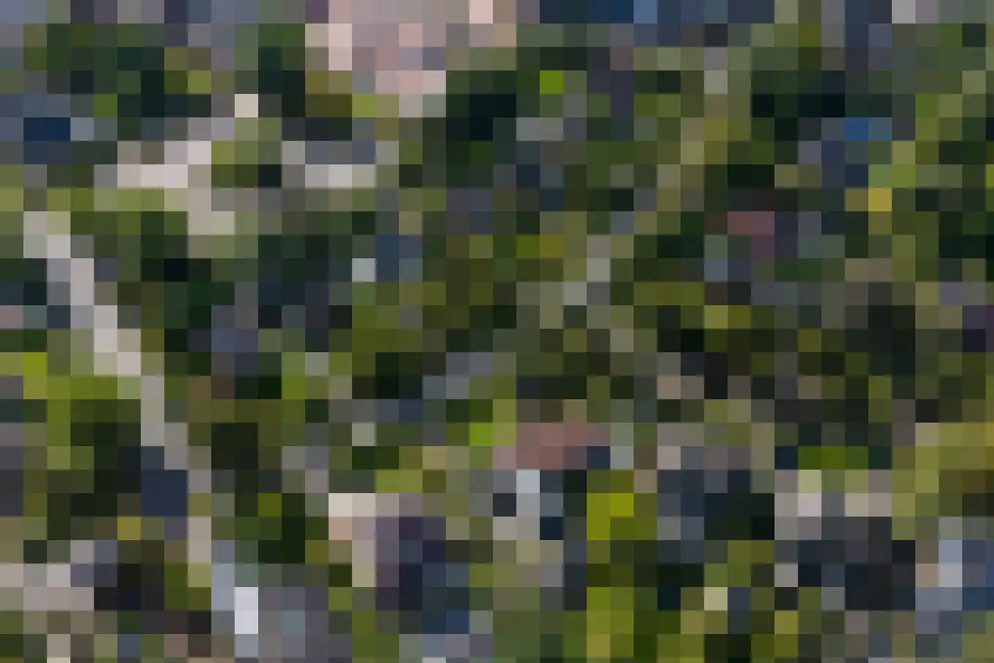 Molenweg 12 b Haren Gn thumbnail 71