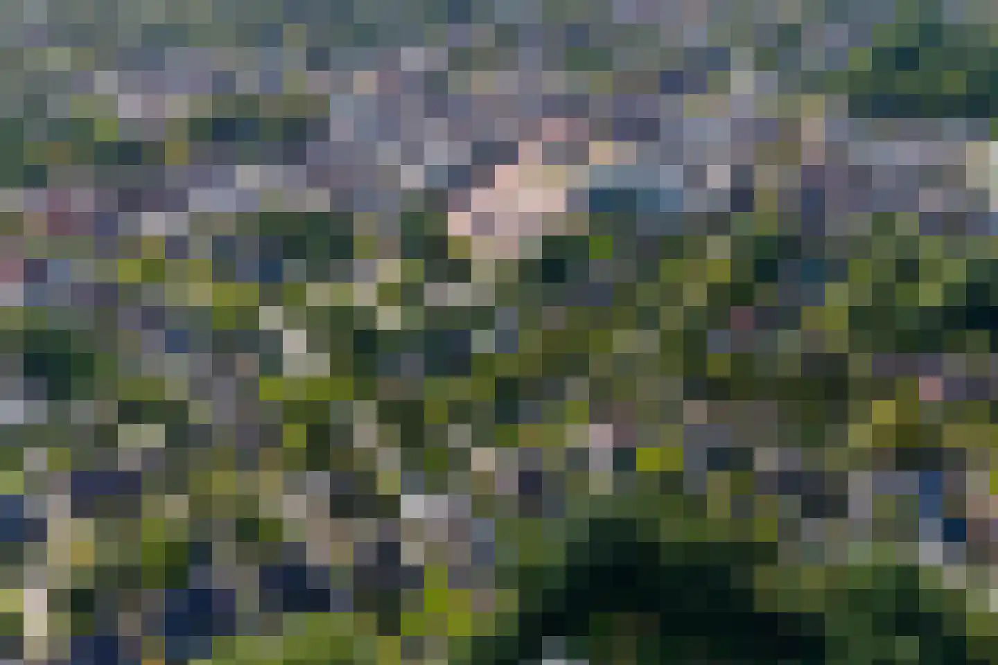 Molenweg 12 b Haren Gn thumbnail 72