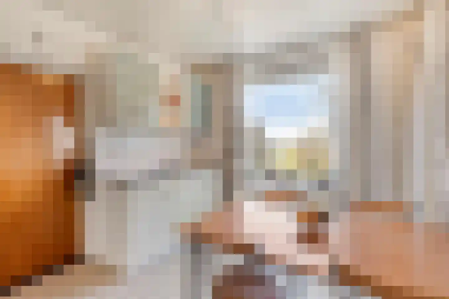 Molenweg 12 Eckelrade thumbnail 11
