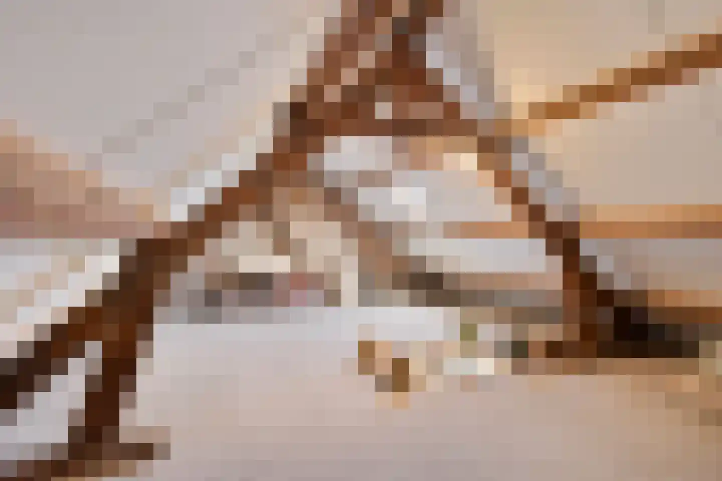 Molenweg 12 Eckelrade thumbnail 29