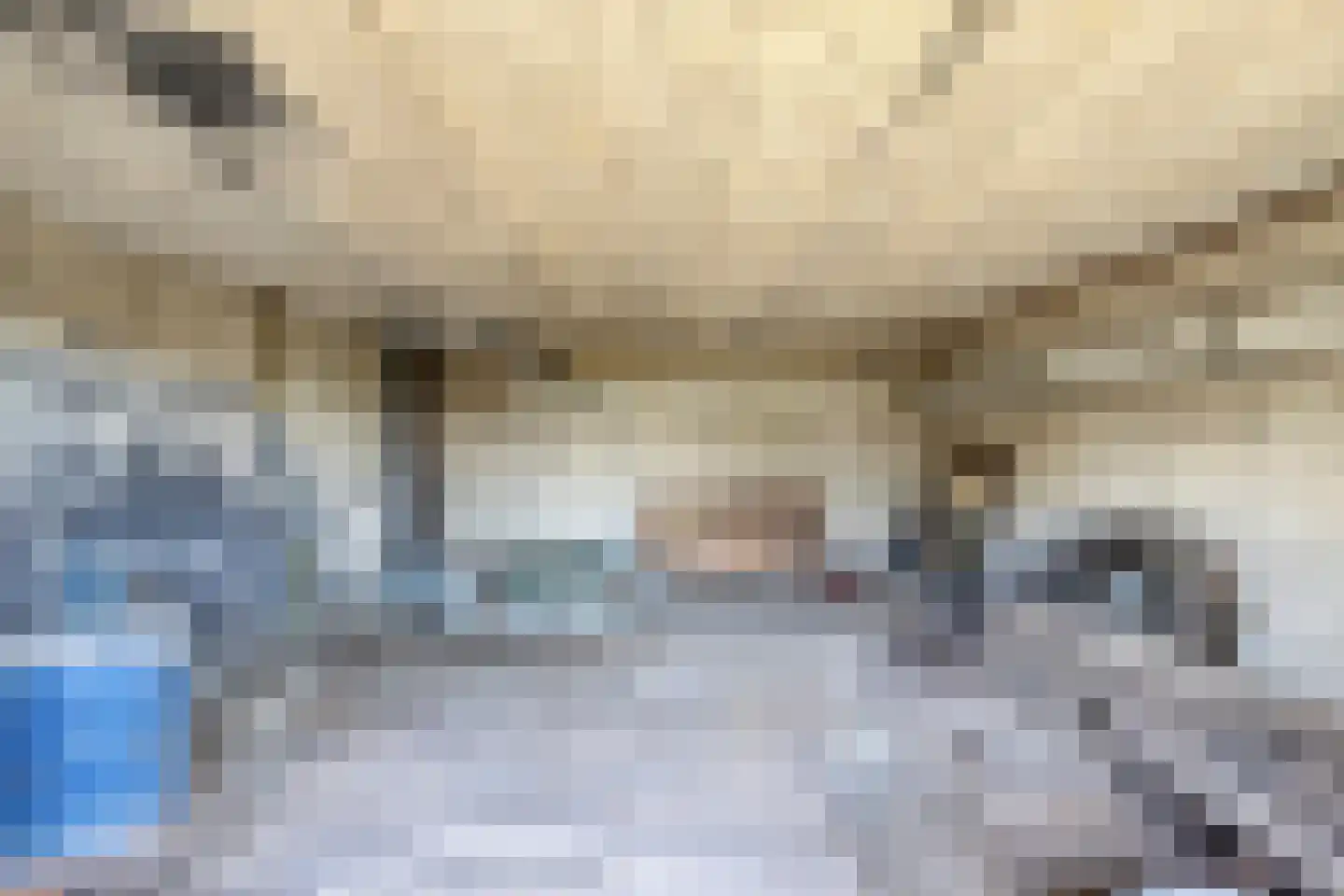 Molenweg 12 Eckelrade thumbnail 32
