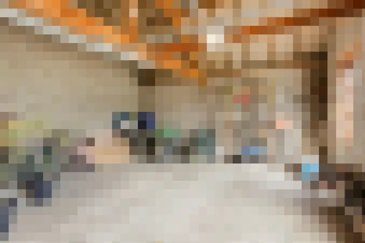 Molenweg 12 Eckelrade thumbnail 33