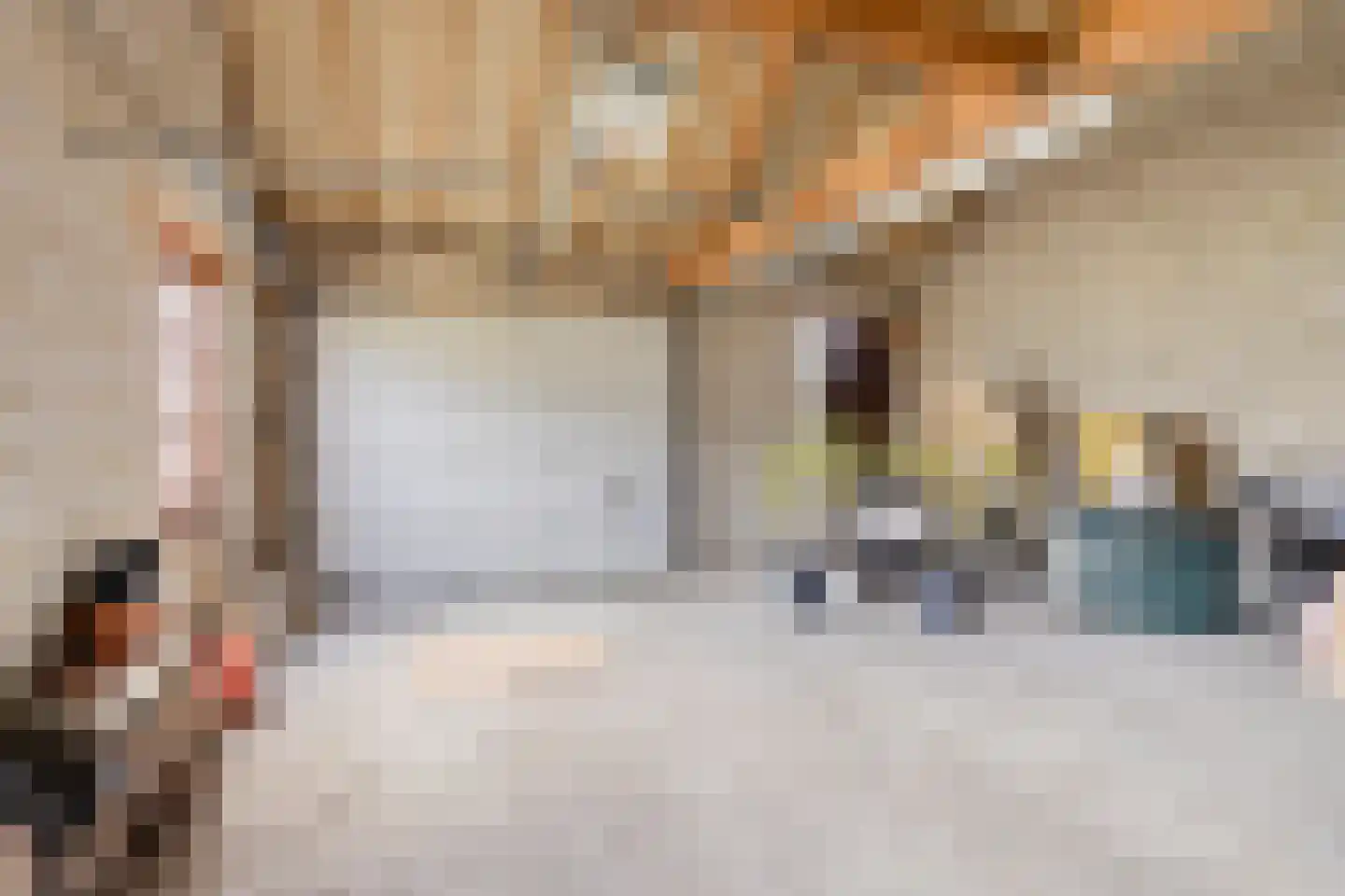 Molenweg 12 Eckelrade thumbnail 34