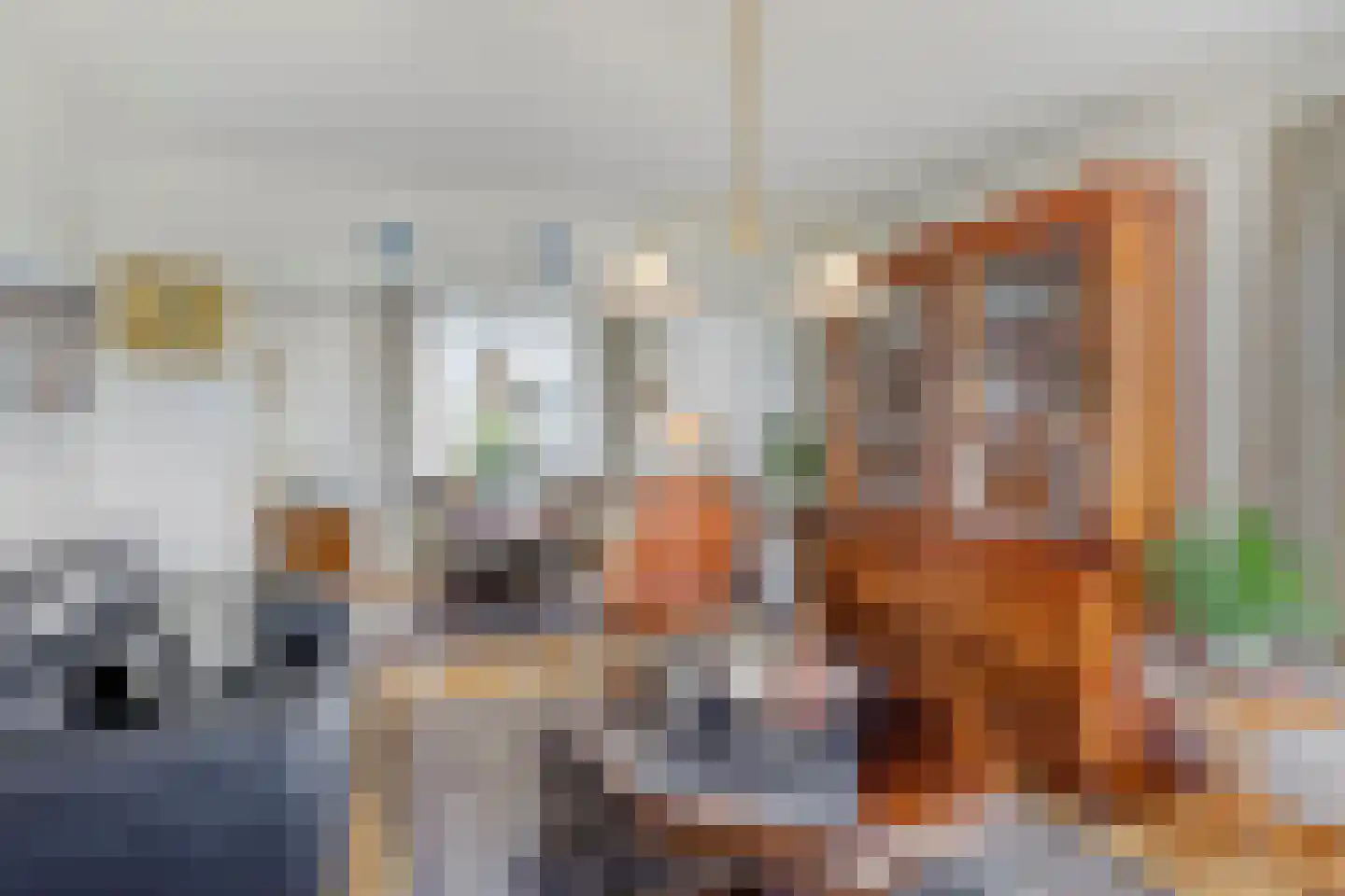 Molenweg 12 Eckelrade thumbnail 9