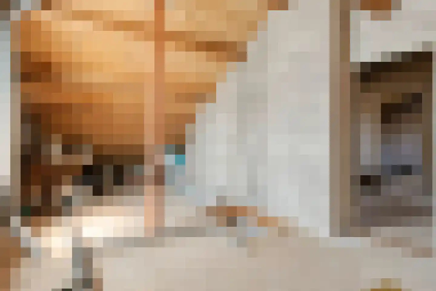 Molenweg 12 Koewacht thumbnail 18