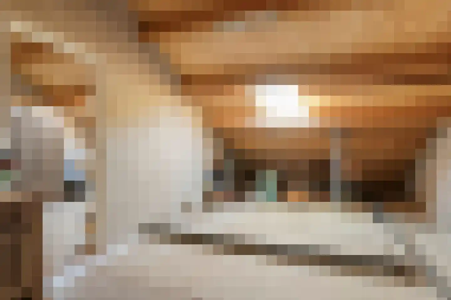 Molenweg 12 Koewacht thumbnail 20