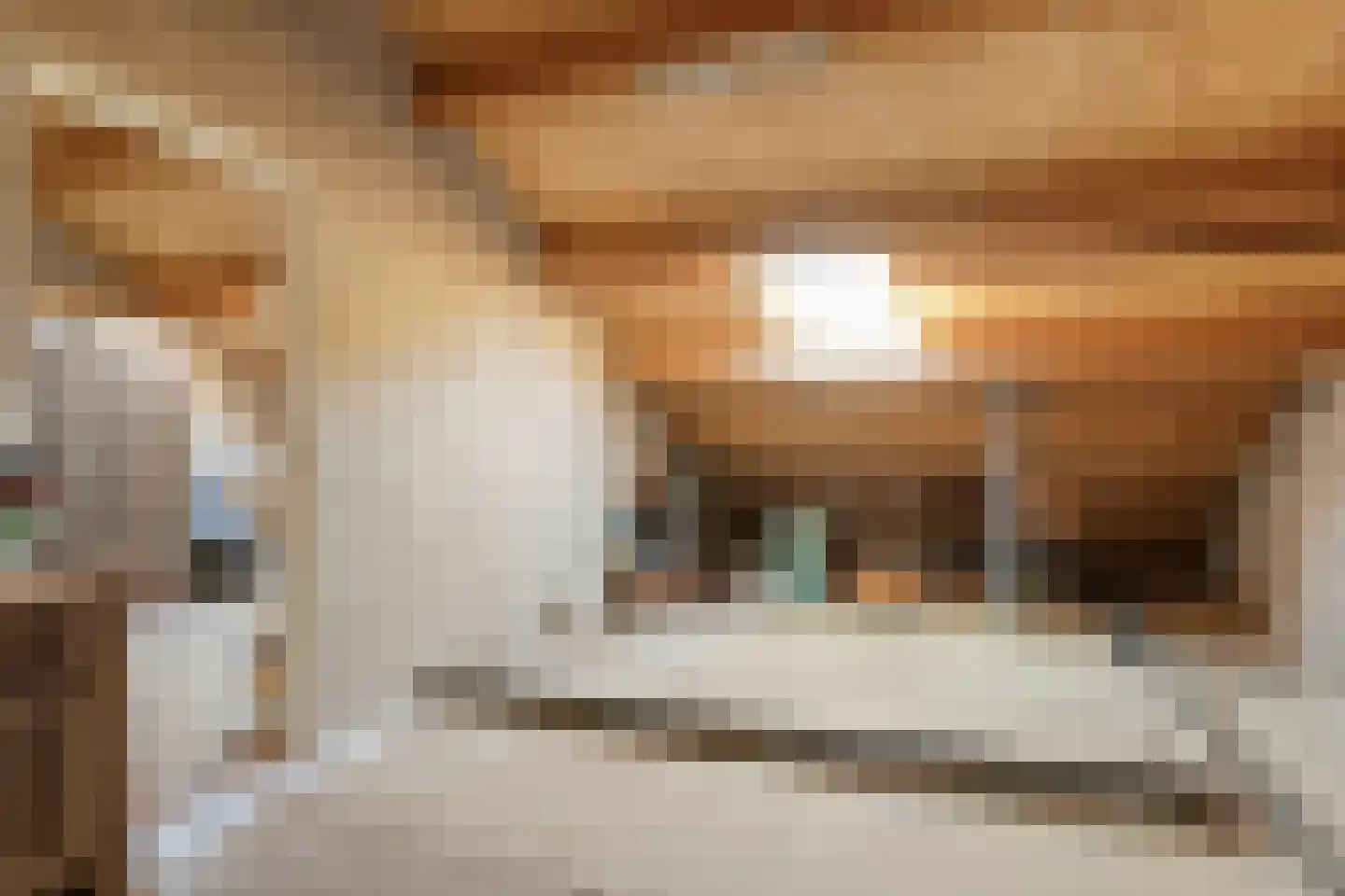 Molenweg 12 Koewacht thumbnail 24