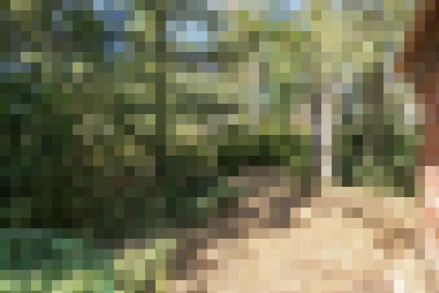 Molenweg 12 Koewacht thumbnail 25