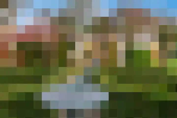 Molenweg 12 Landgraaf thumbnail 27