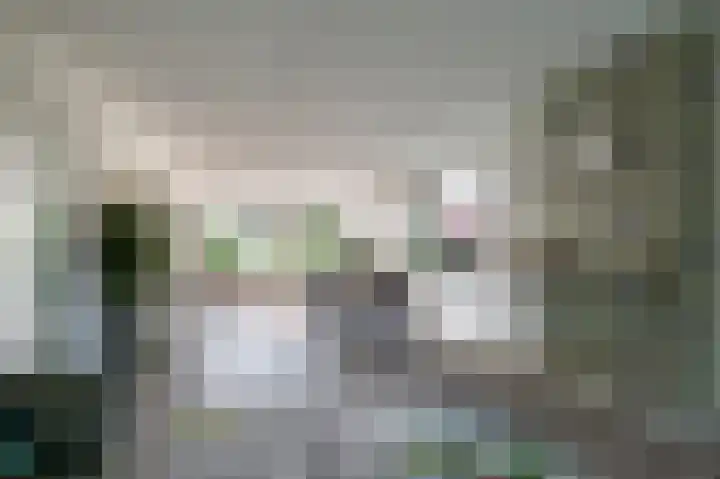 Molenweg 12 Landgraaf thumbnail 8