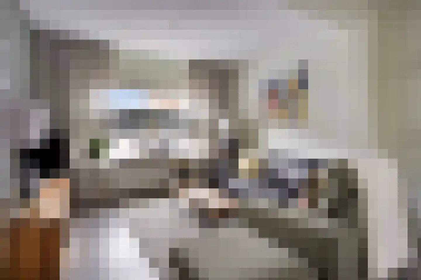 Molenweg 12 Maasbracht thumbnail 10