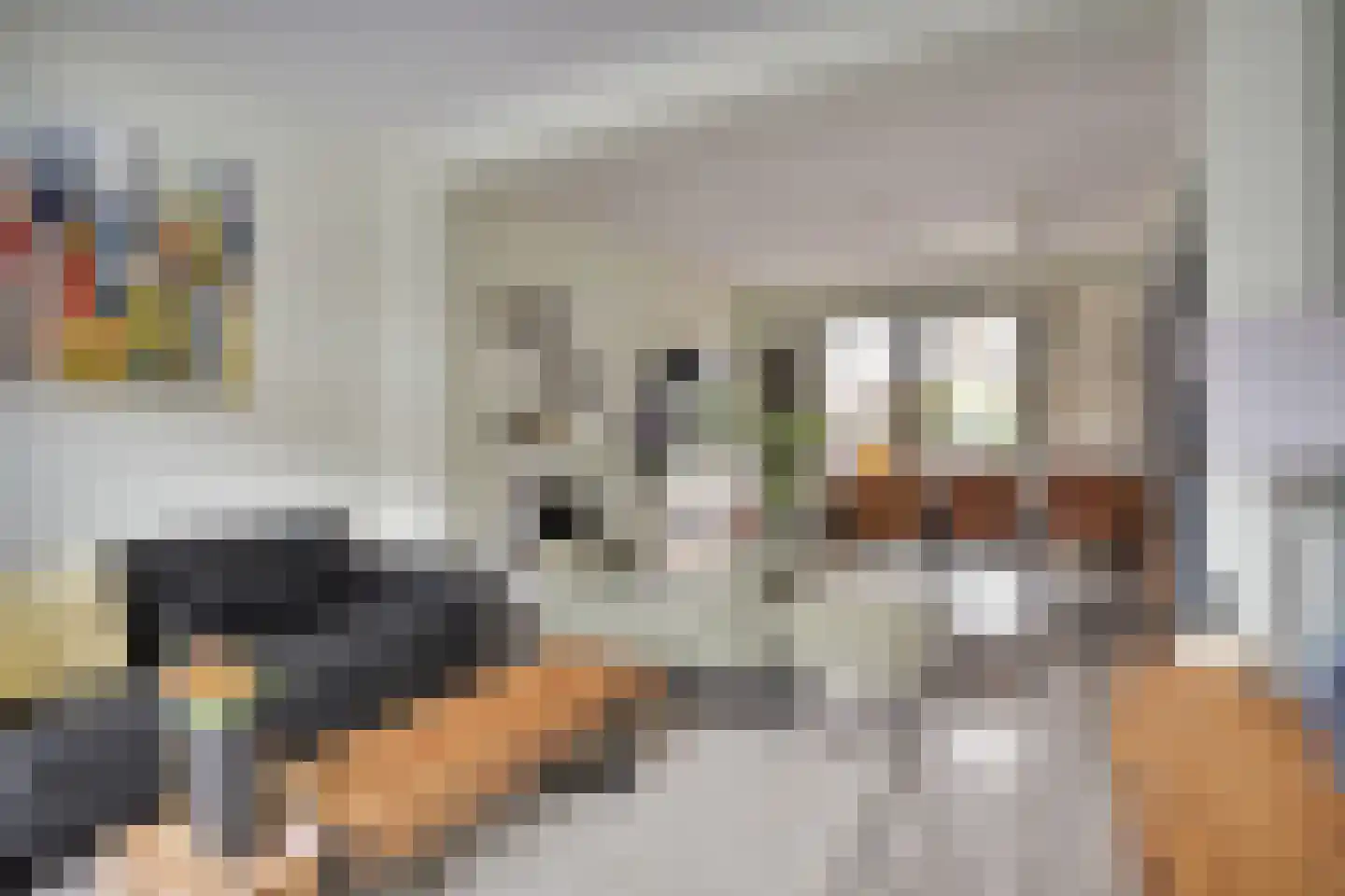 Molenweg 12 Maasbracht thumbnail 11