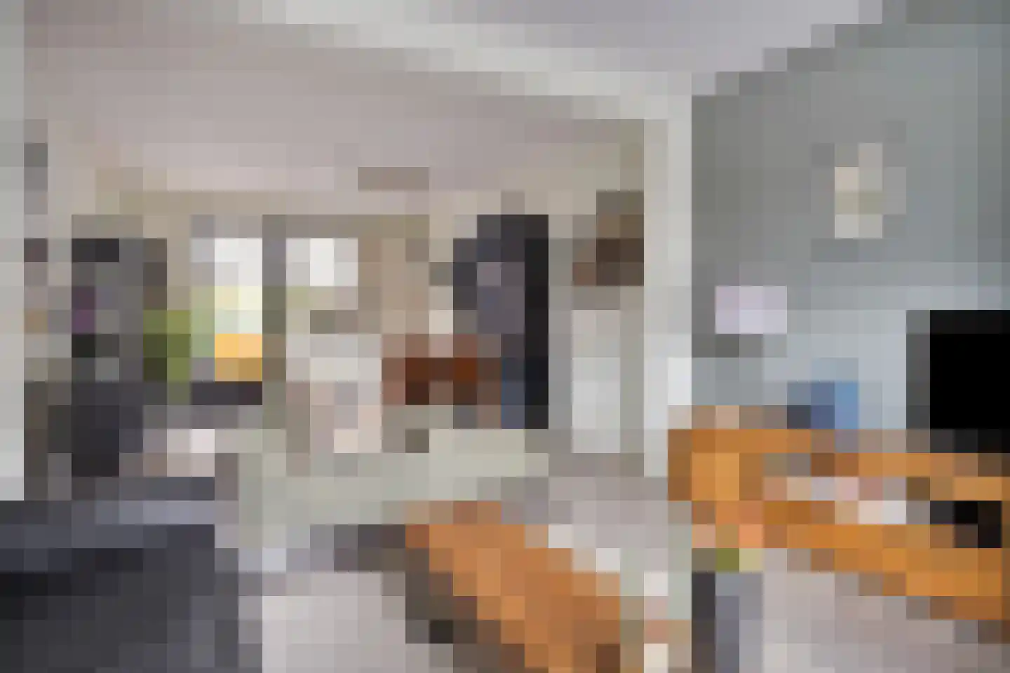Molenweg 12 Maasbracht thumbnail 12