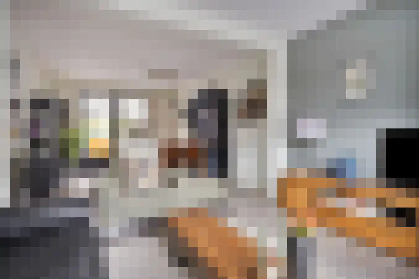 Molenweg 12 Maasbracht thumbnail 12