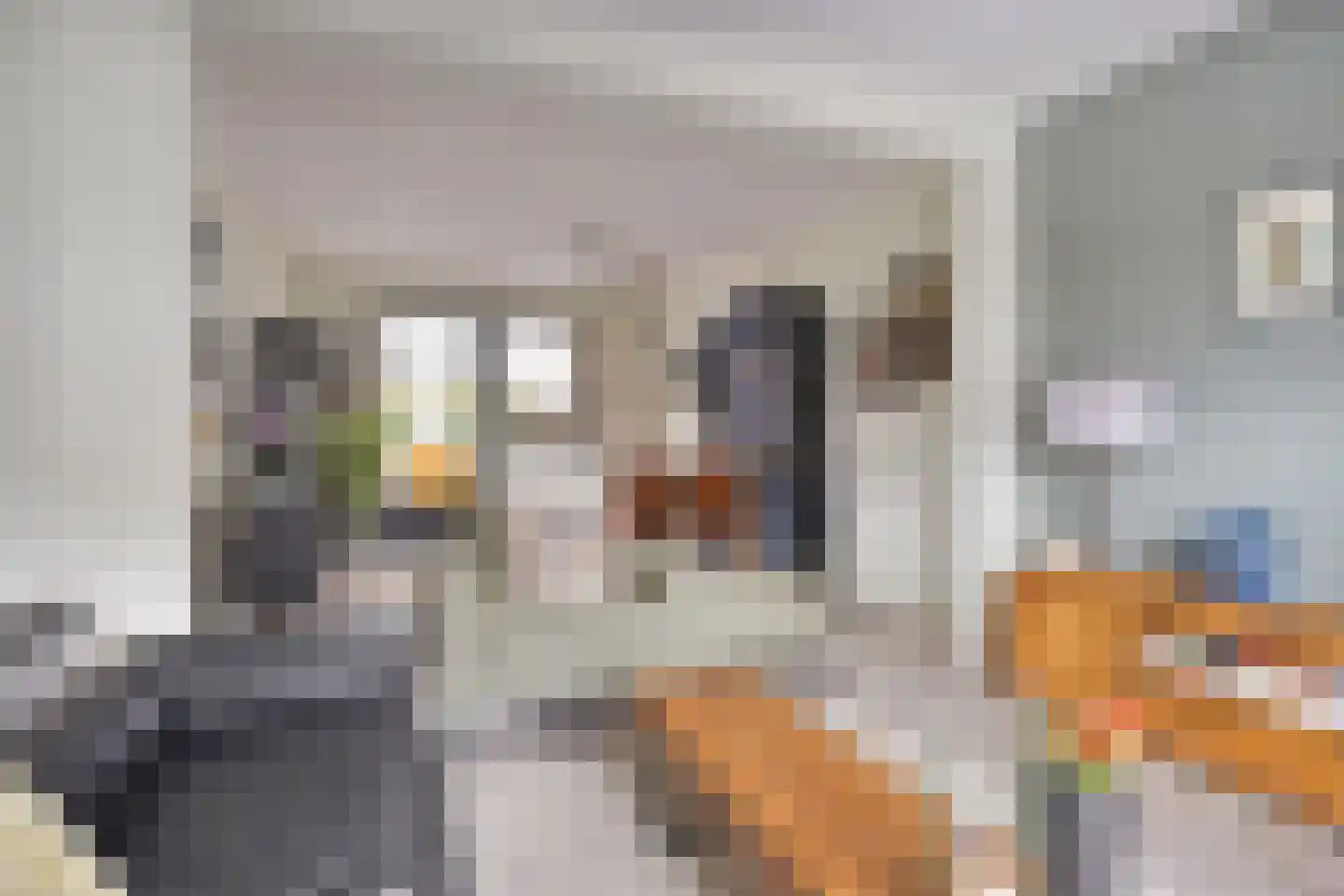 Molenweg 12 Maasbracht thumbnail 13