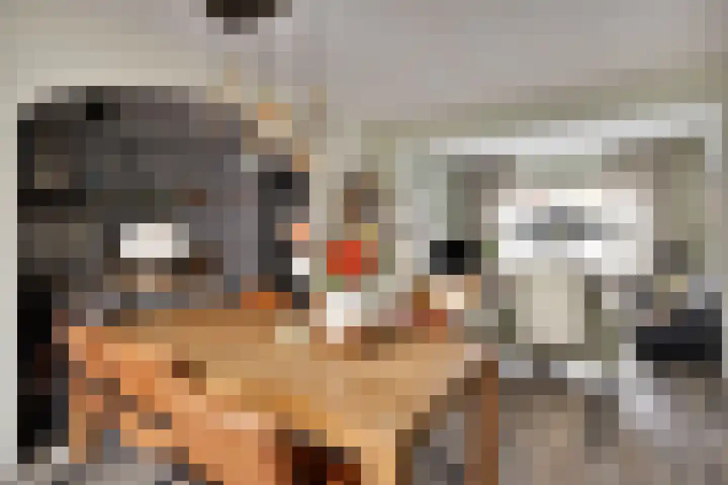 Molenweg 12 Maasbracht thumbnail 15