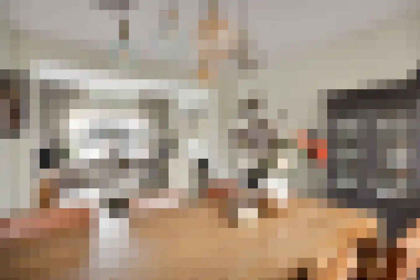 Molenweg 12 Maasbracht thumbnail 16