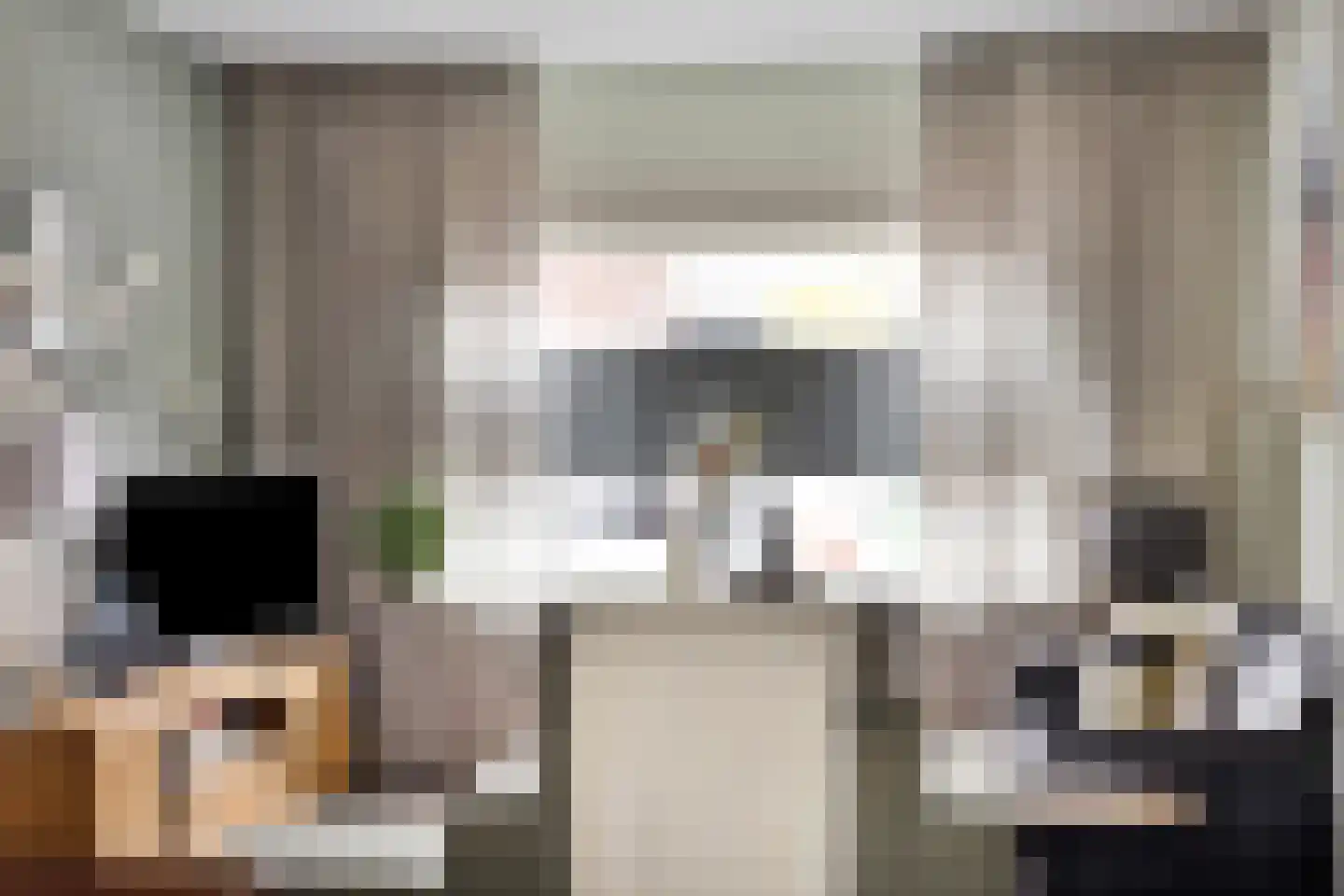 Molenweg 12 Maasbracht thumbnail 18