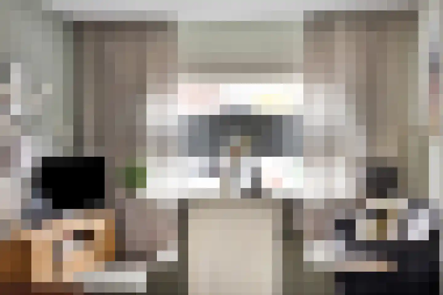 Molenweg 12 Maasbracht thumbnail 18
