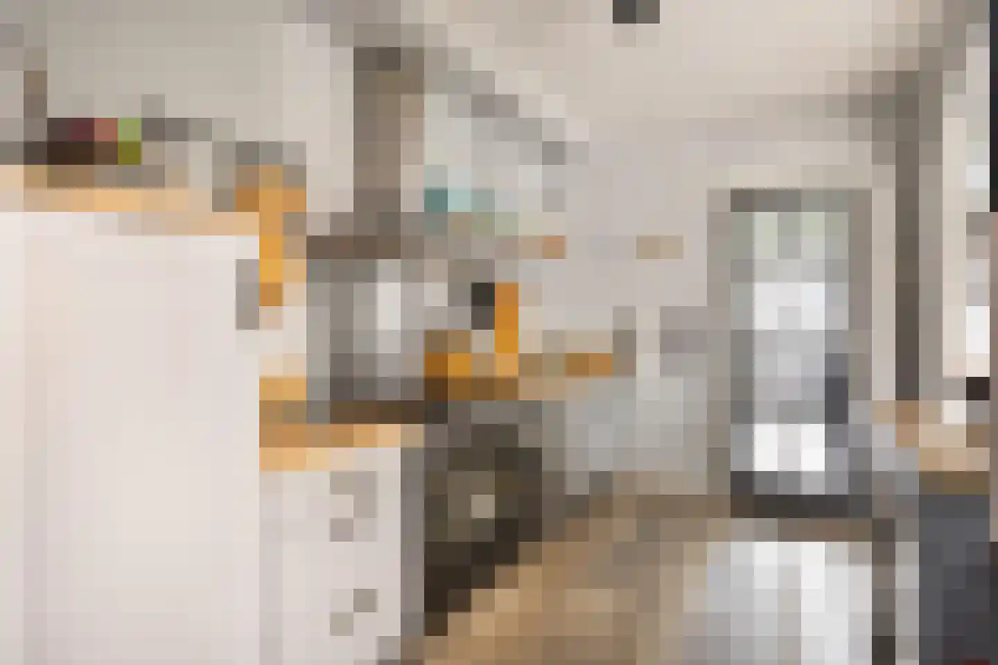 Molenweg 12 Maasbracht thumbnail 19