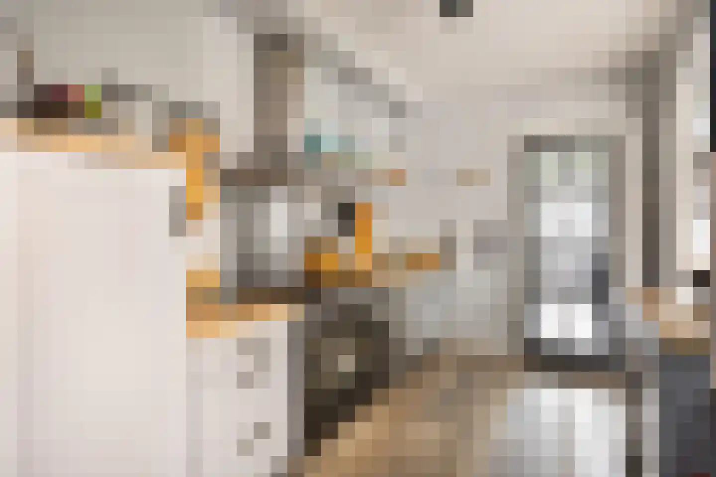 Molenweg 12 Maasbracht thumbnail 19