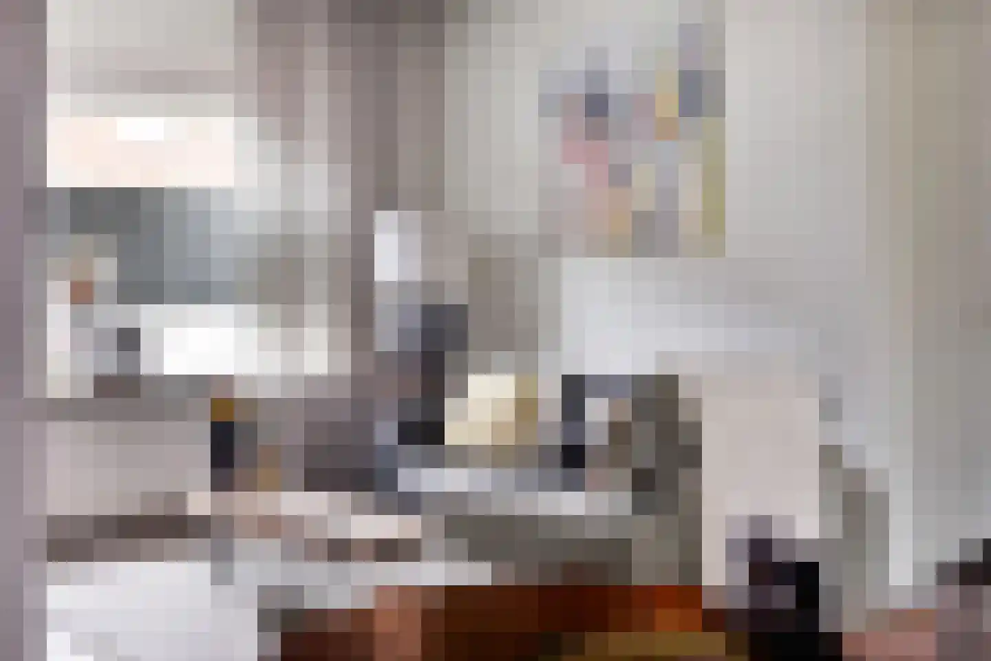 Molenweg 12 Maasbracht thumbnail 20