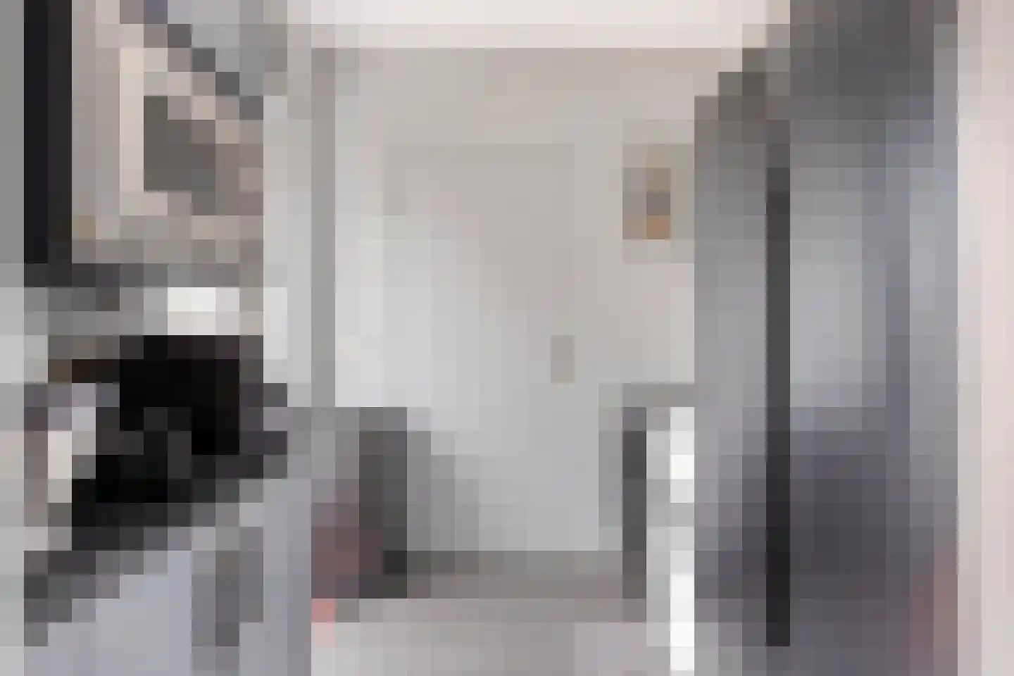Molenweg 12 Maasbracht thumbnail 26