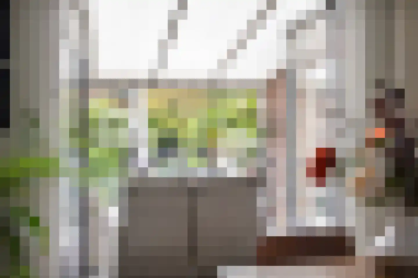Molenweg 12 Maasbracht thumbnail 29