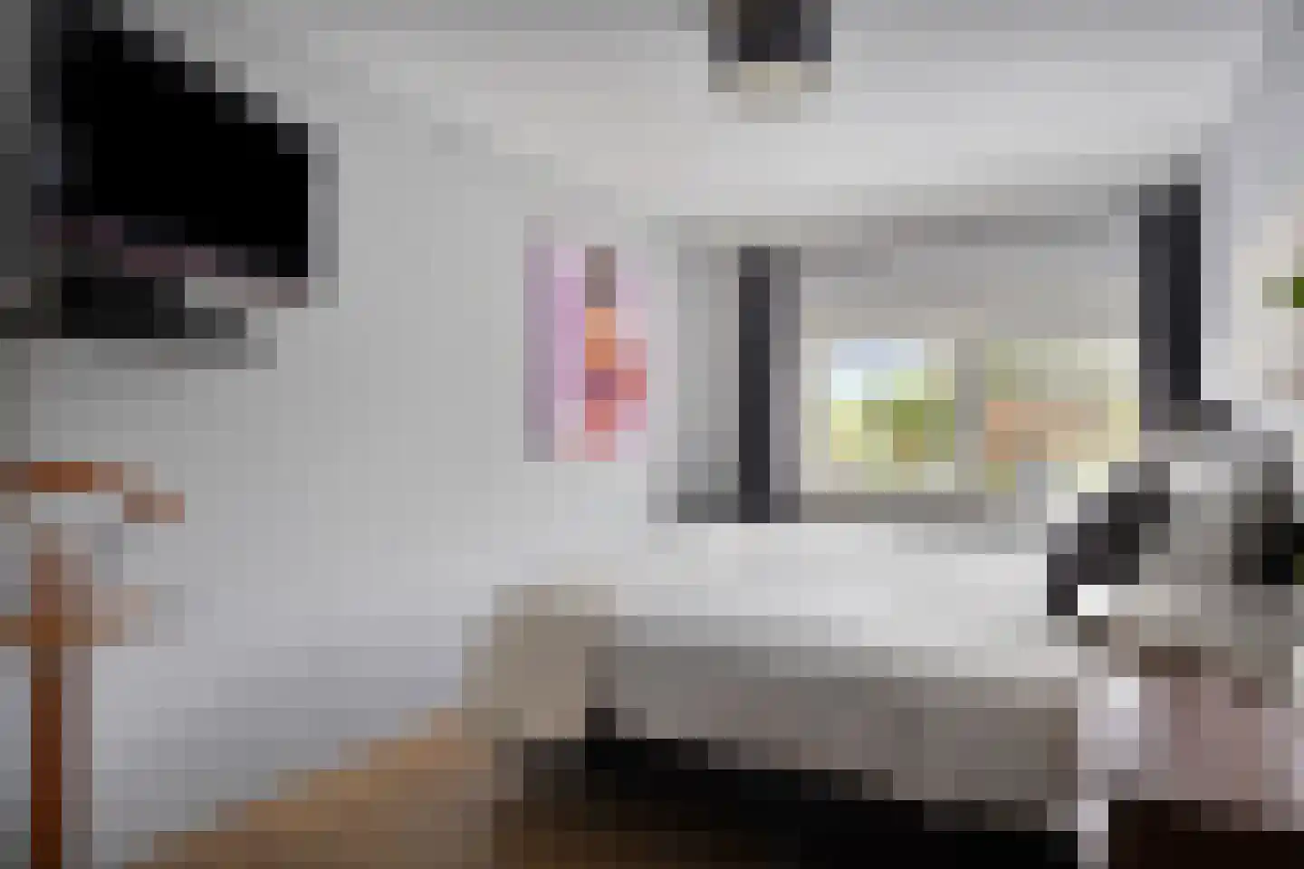 Molenweg 12 Maasbracht thumbnail 31