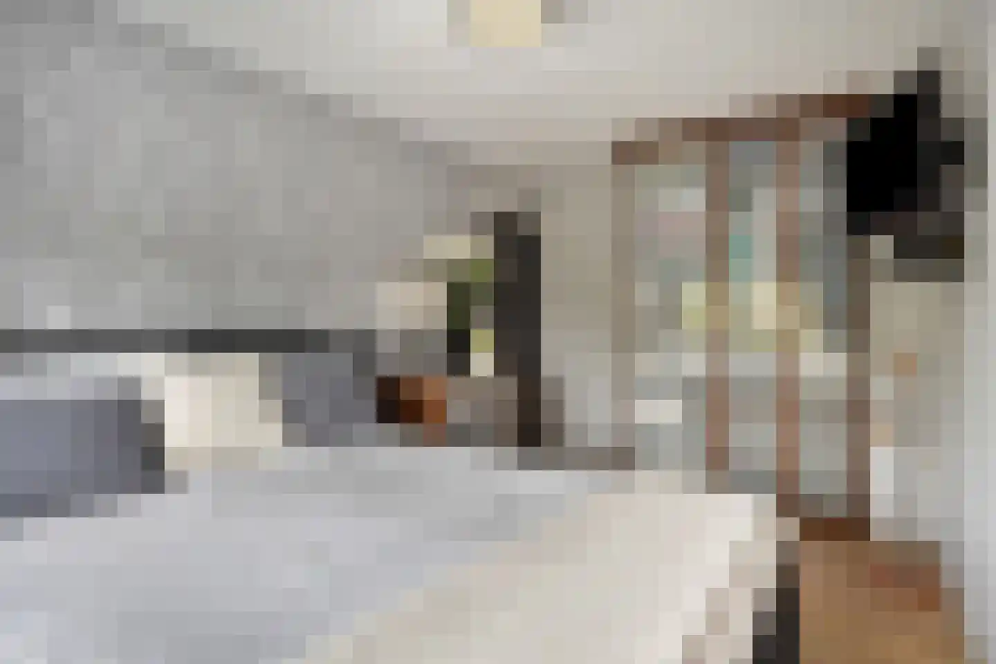Molenweg 12 Maasbracht thumbnail 32