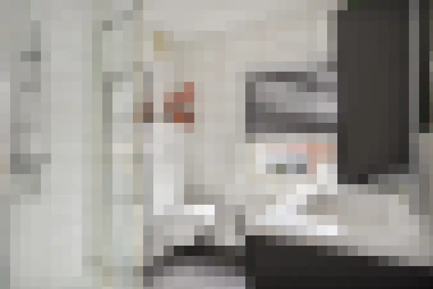 Molenweg 12 Maasbracht thumbnail 33
