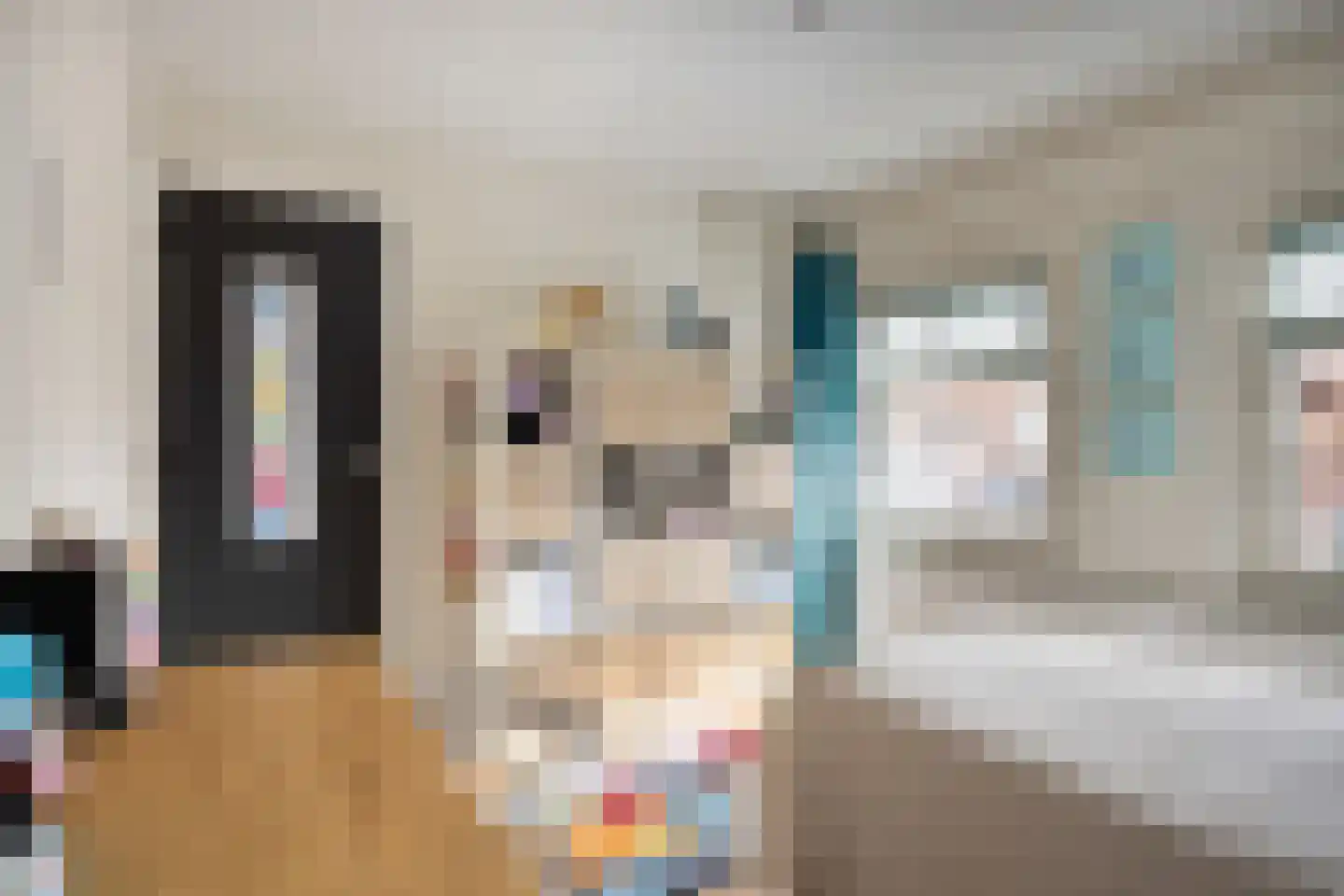 Molenweg 12 Maasbracht thumbnail 37