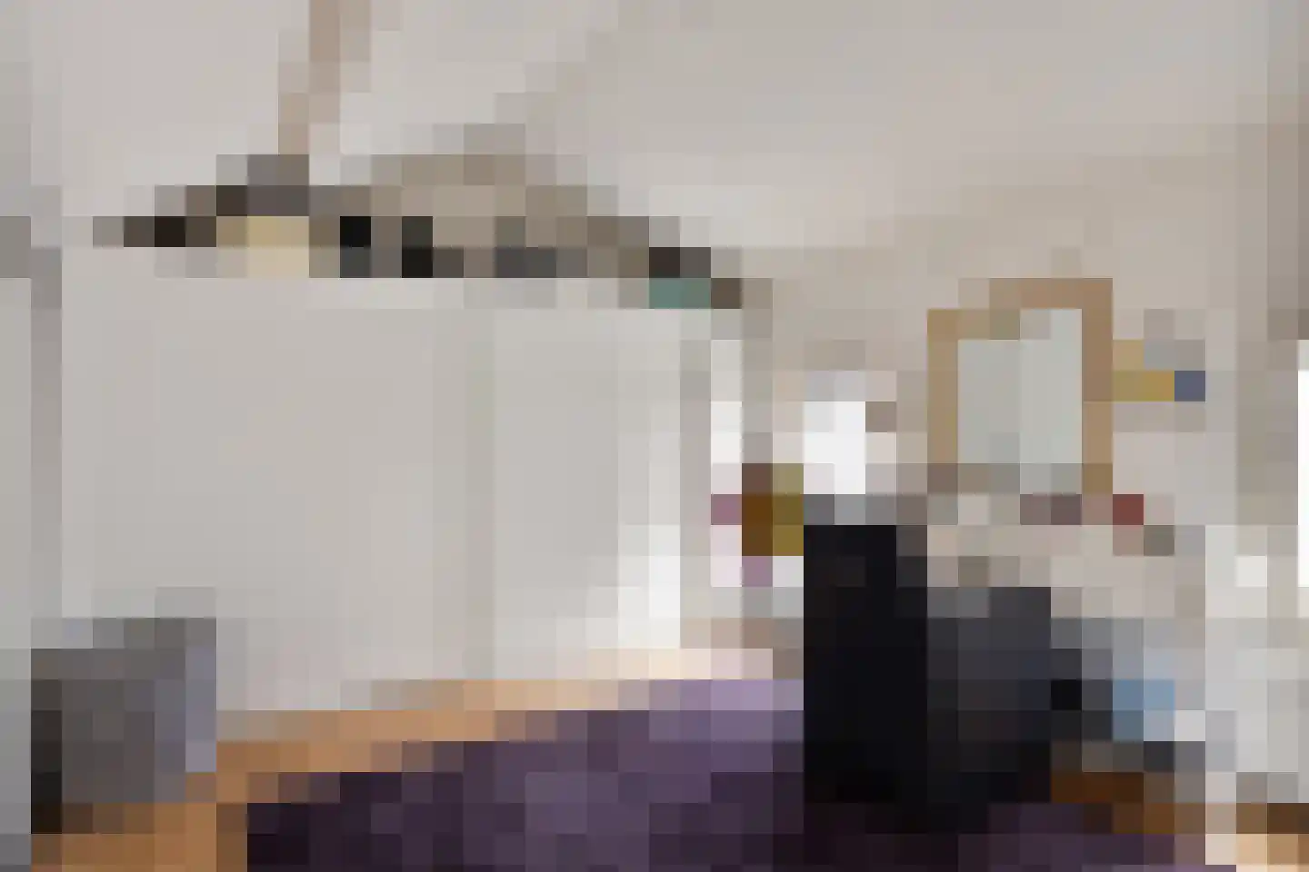 Molenweg 12 Maasbracht thumbnail 39