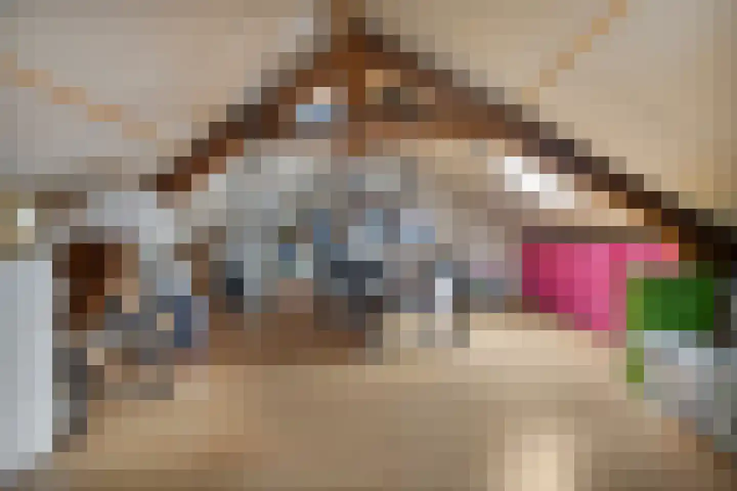 Molenweg 12 Maasbracht thumbnail 41