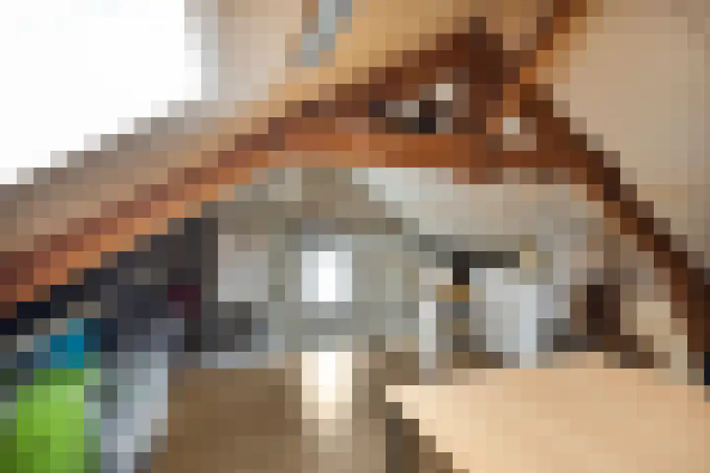 Molenweg 12 Maasbracht thumbnail 42