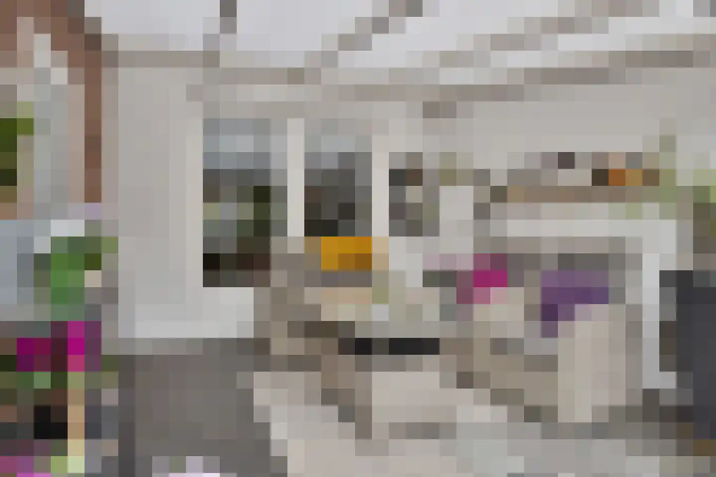 Molenweg 12 Maasbracht thumbnail 43