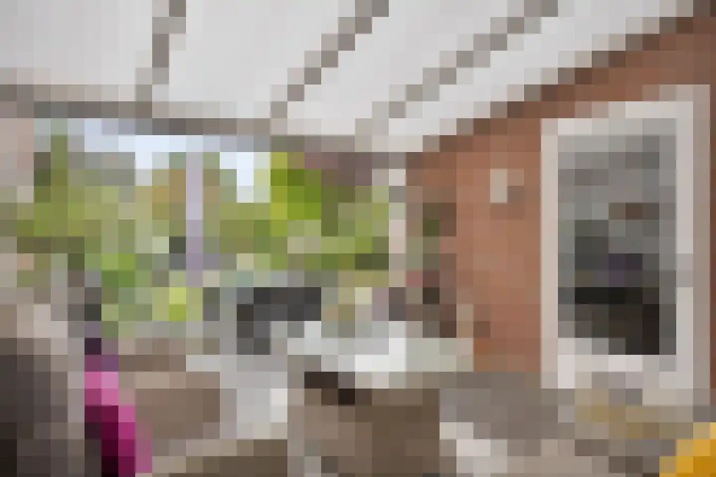 Molenweg 12 Maasbracht thumbnail 44