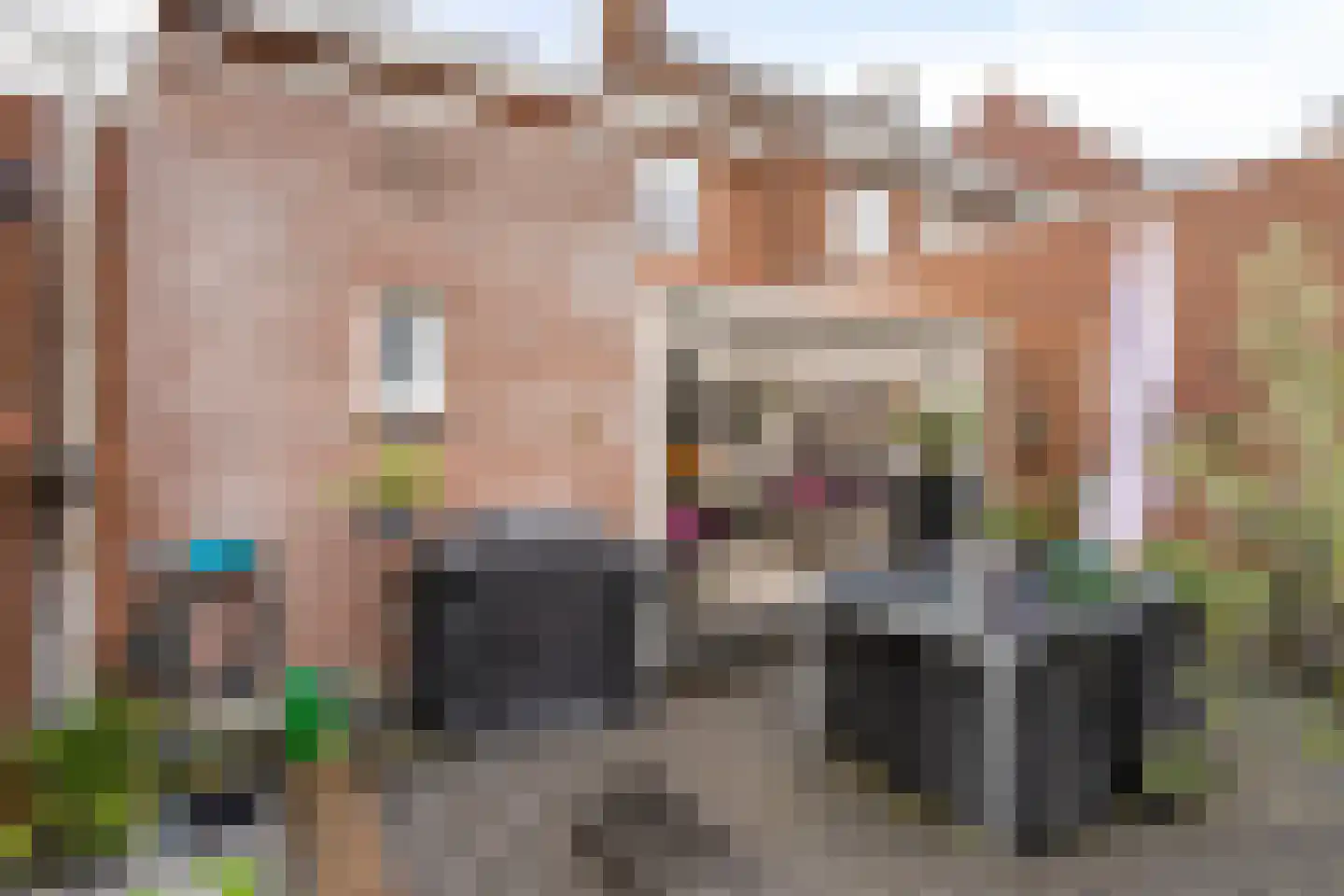 Molenweg 12 Maasbracht thumbnail 46