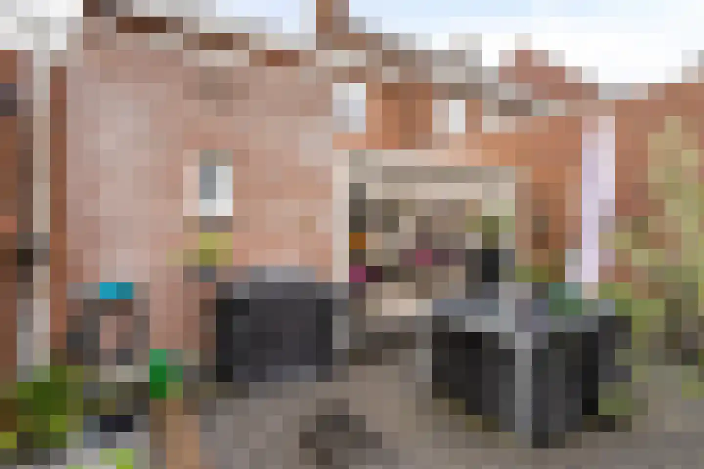 Molenweg 12 Maasbracht thumbnail 46