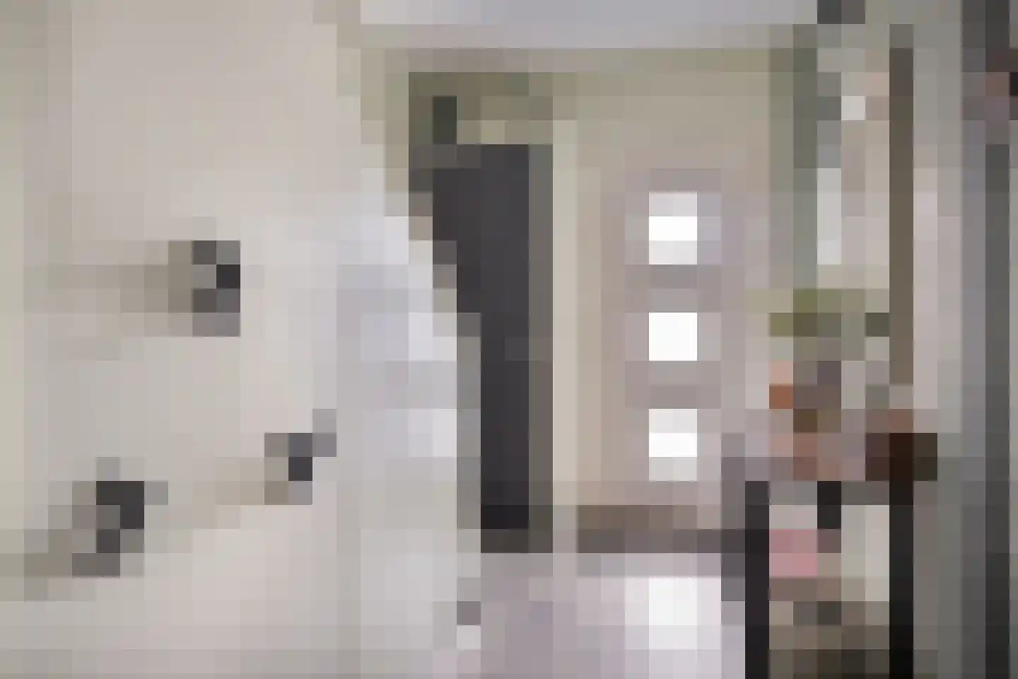 Molenweg 12 Maasbracht thumbnail 8