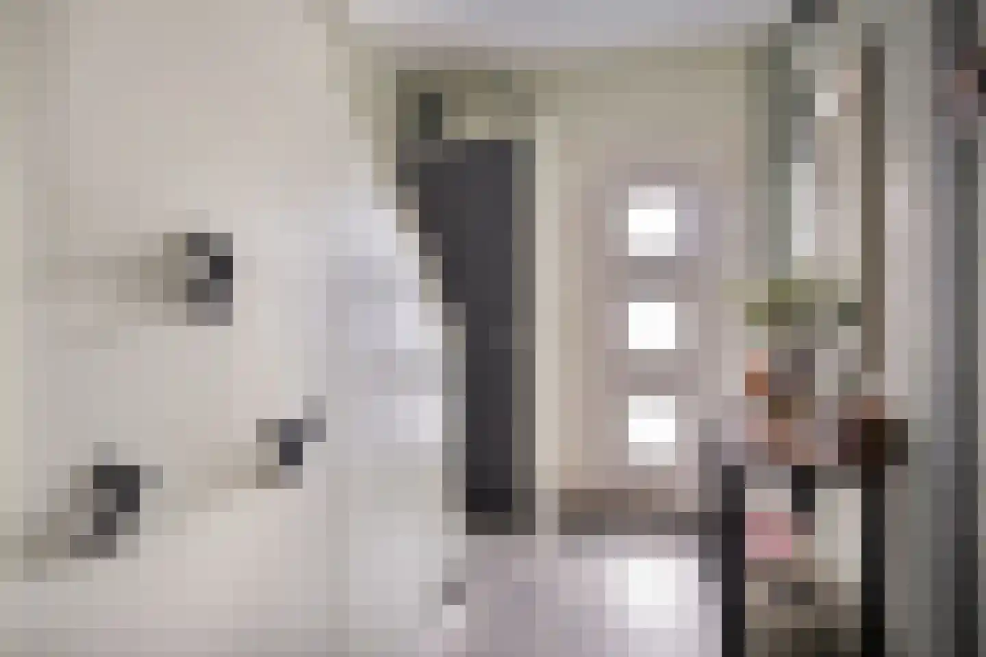 Molenweg 12 Maasbracht thumbnail 8