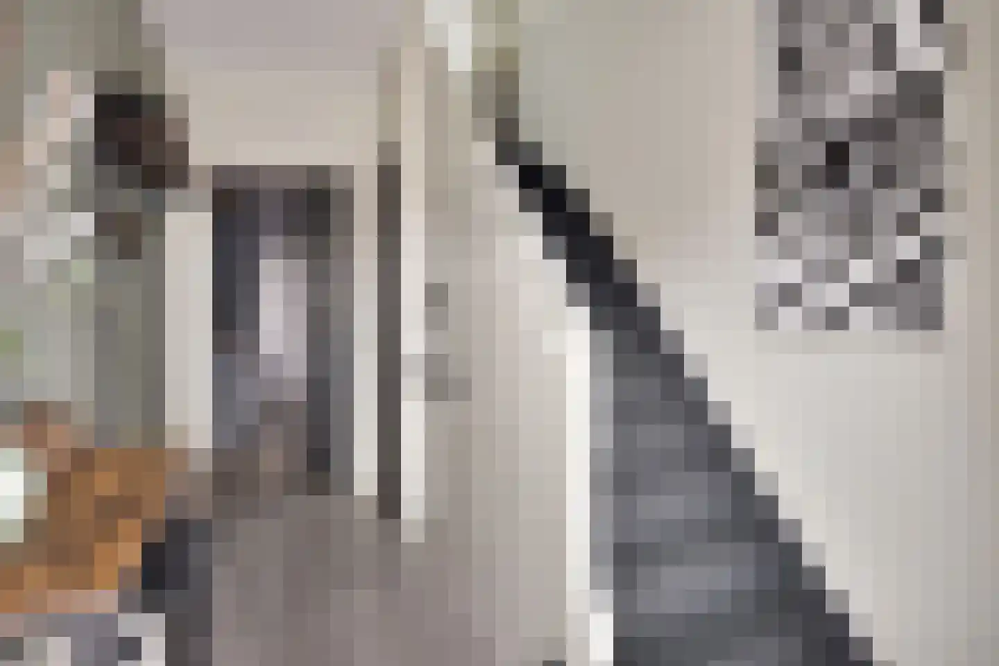 Molenweg 12 Maasbracht thumbnail 9