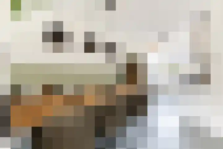 Molenweg 12 Nijkerk thumbnail 11