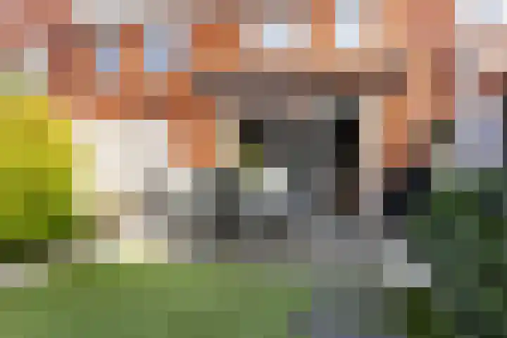 Molenweg 12 Nijkerk thumbnail 31