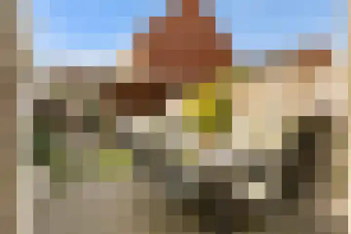 Molenweg 12 Nijkerk thumbnail 32