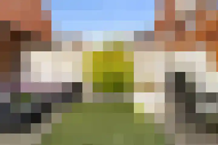 Molenweg 12 Nijkerk thumbnail 33