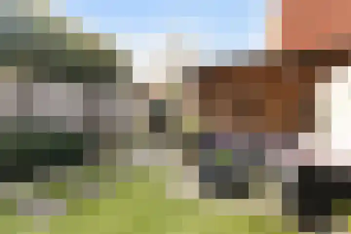 Molenweg 12 Nijkerk thumbnail 34